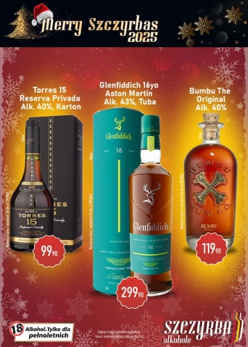 Merry Szczyrba’s 2025✨🎄